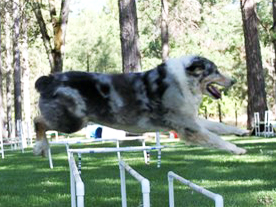 Flash Jump
